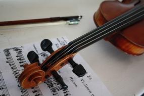 head of Violin on music sheet