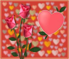 flower leaf plant hearts bokeh