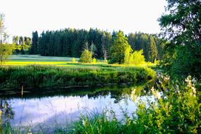 River Green Landscape