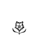 flower floral bloom garden