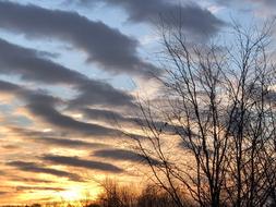 Nature Panorama Dawn