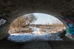Tree Nature Landscape