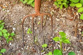 Pitchfork Tine Metal