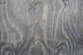 Texture Wood