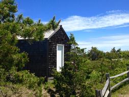 Shed Landscape
