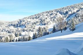Snow Winter Cold