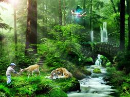 Paradise Forest Waterfall