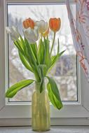 orange flowers with a window