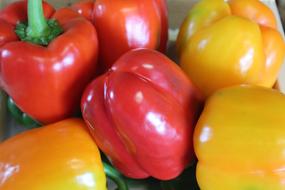 juicy peppers close up