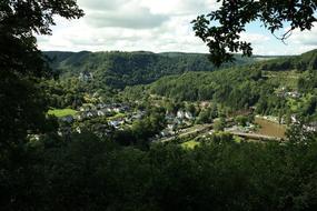 Panoramic Tree Nature