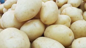 pureed raw potatoes