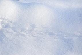 Snow Winter Snowflakes