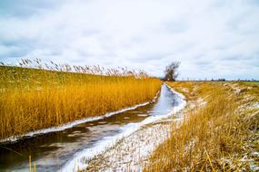 Nature Landscape Waters
