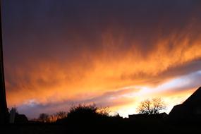 orange sunset in the woods