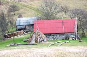 Grass Nature Outdoors
