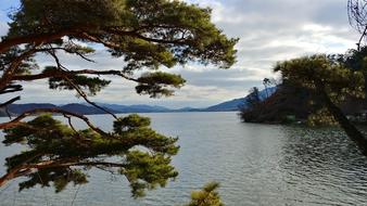 a beautiful lake with trees