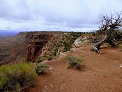 Landscape Nature Roche