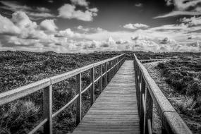 long wooden bridge by the lake