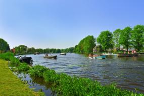 beautiful river with trees on the beach