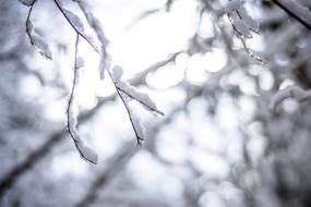 Snow Light Winter