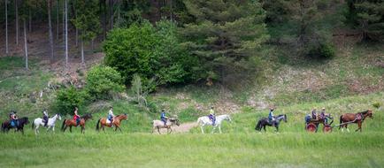 Pentecost Horses Ride