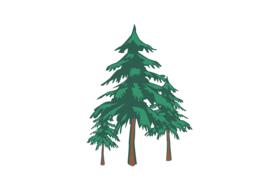 natural tree forest nature
