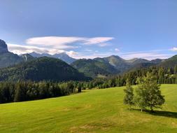 Green Landscape Nature
