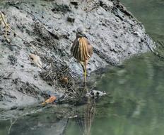 Nature Outdoors Water