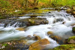 waterfalls with rocks in the forest