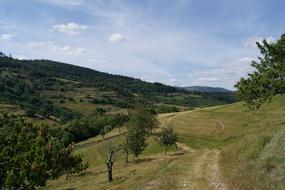 Landscape