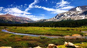river in the field