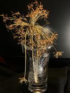 Glass Dried Plant Decoration