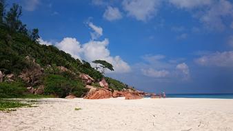 sandy beautiful beach by the ocean
