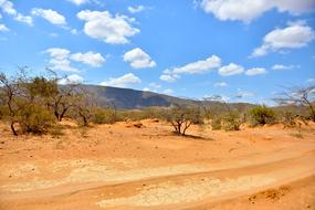 desert road in guajira, colombia