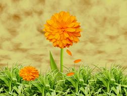 Flowers Nature Background Yellow
