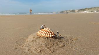 Miniature Figures Water Vacations