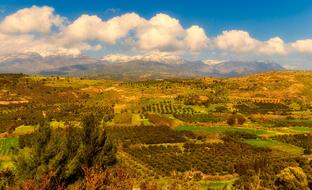 Landscape Nature Panoramic