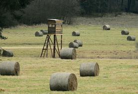 Farm Field Landscape Rural