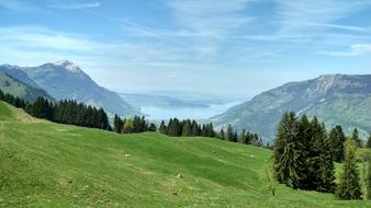 Nature Landscape Forest