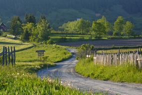 Countryside Landscape Rural