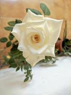 Flower Leaf Rose