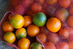 oranges in a mesh bag