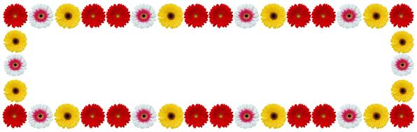 Flower Frame Gerbera Color