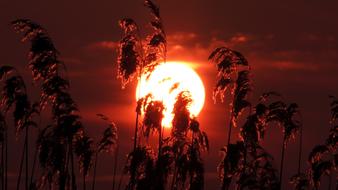Sunrise Sunset Sun