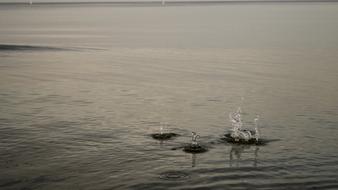 Drip Water Drop Of Close