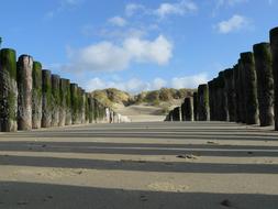 Sea Beach Poles