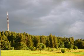 Fall Forest Antenna
