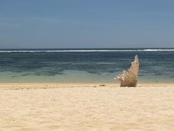 Beach Sea Water