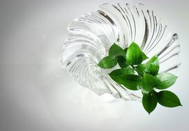 Nature Glass Texture