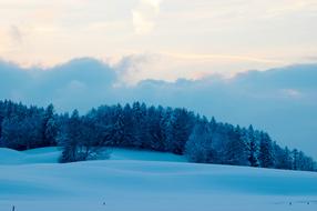 Winter Landscape Blue